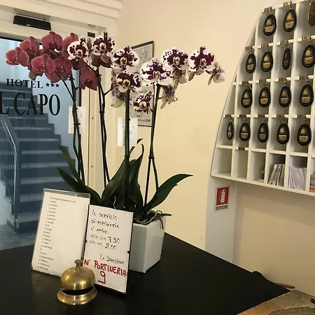 Al Capo 호텔 3*